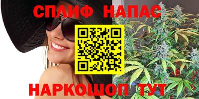 мяу мяу мука Гагарин