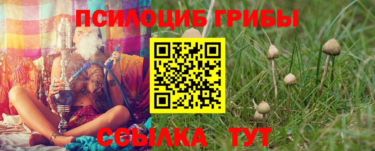 Псилоцибиновые грибы Magic Shrooms  Вход с VPN  Нефтекумск  Галлюциногенные грибы Psilocybe 